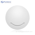 Mini WiFi5 1200Mbps Dualband Indoor Enterprise Wireless AP